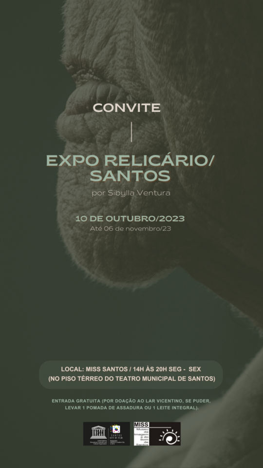 EXPOSIÇÃO PROJETO RELICÁRIO EM SANTOS - MISS SANTOS EXPOSIÇÃO PROJETO RELICÁRIO EM SANTOS - MISS SANTOS